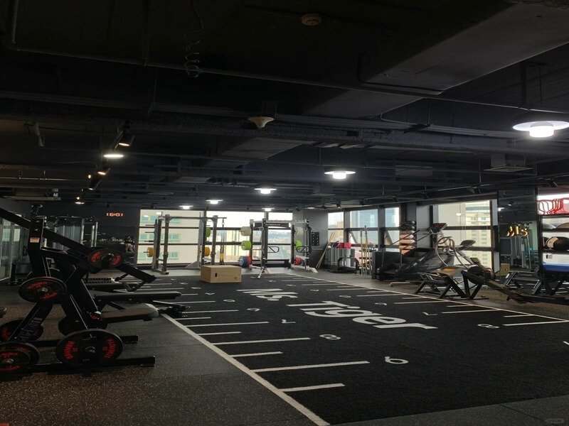 Gym sled track materials and specifications